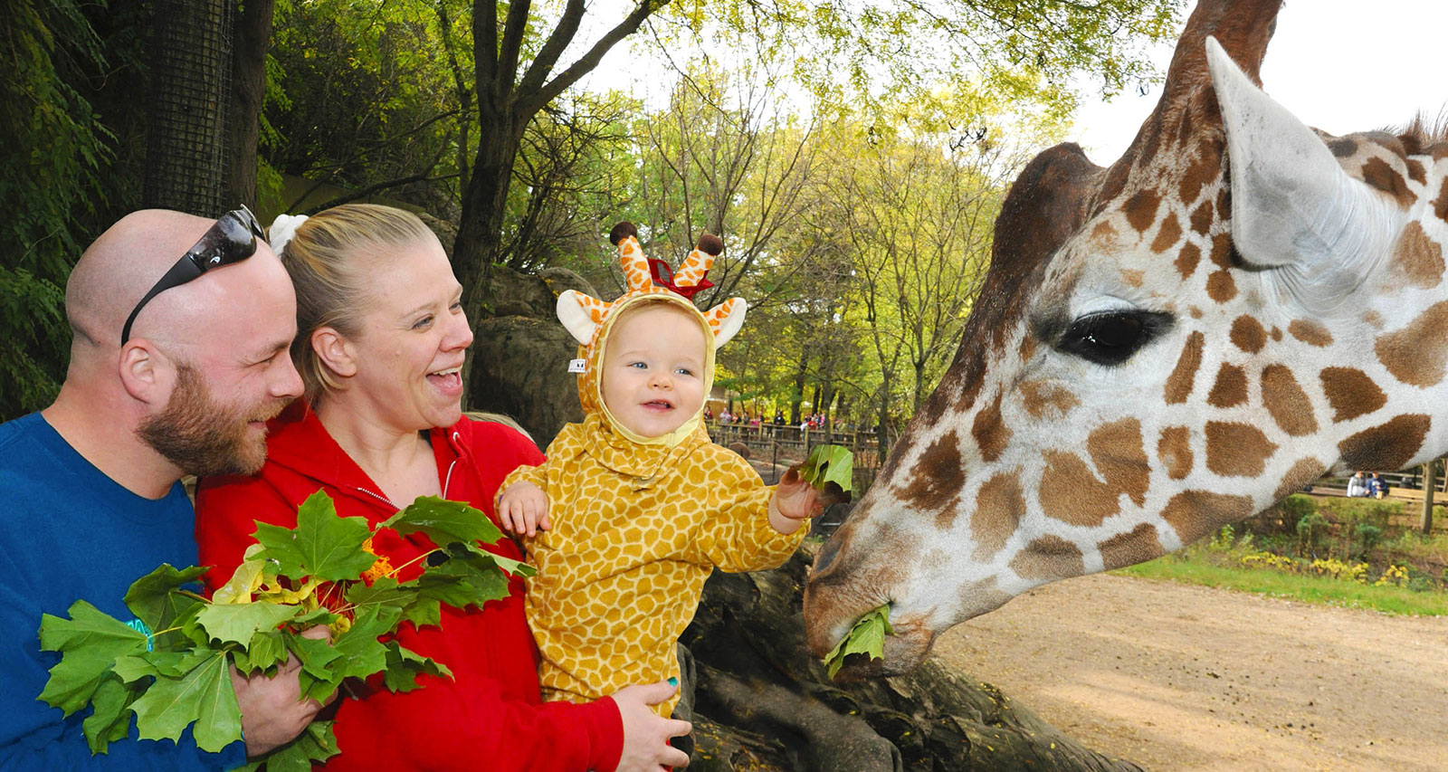 Photo: /74/BROOKFIELDZOO Autumn-Adventures-Hero-2.jpg